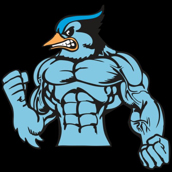 BAW BLUEJAY 16 RC Thumbnail