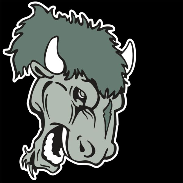 AR BUFFALO 19 RC Thumbnail