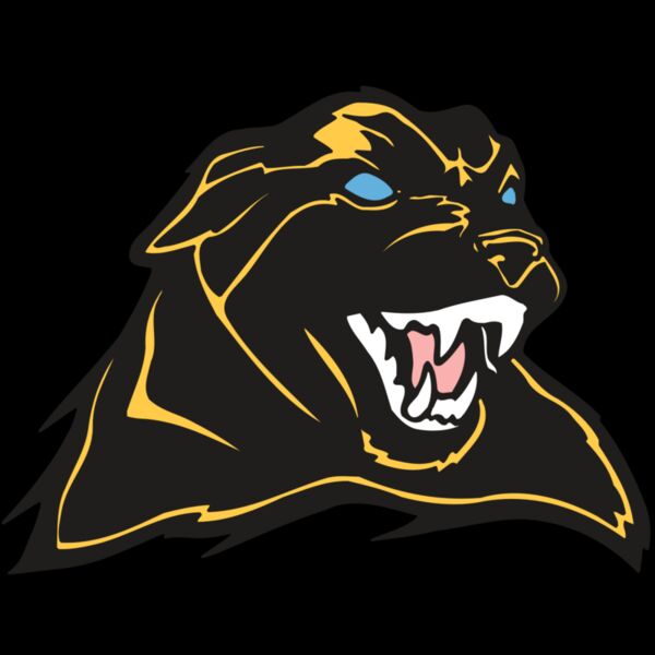 AR COUGAR 42 RC Thumbnail