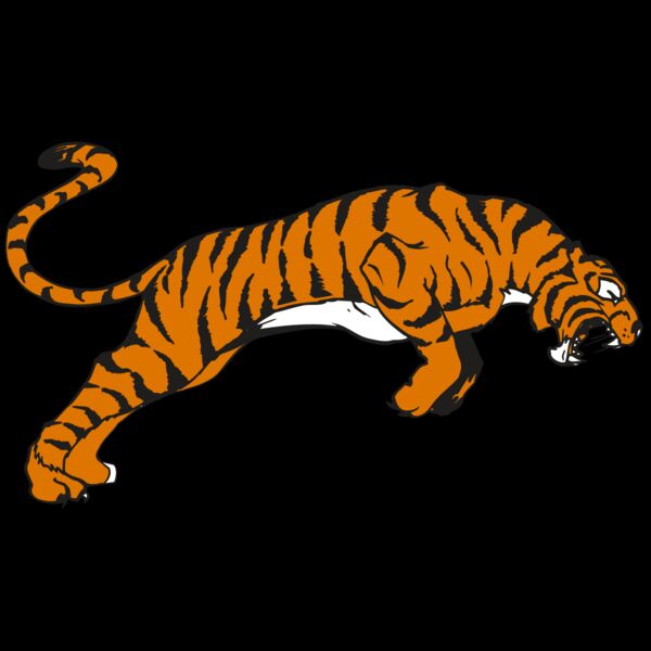 AR TIGER 79 RC Thumbnail