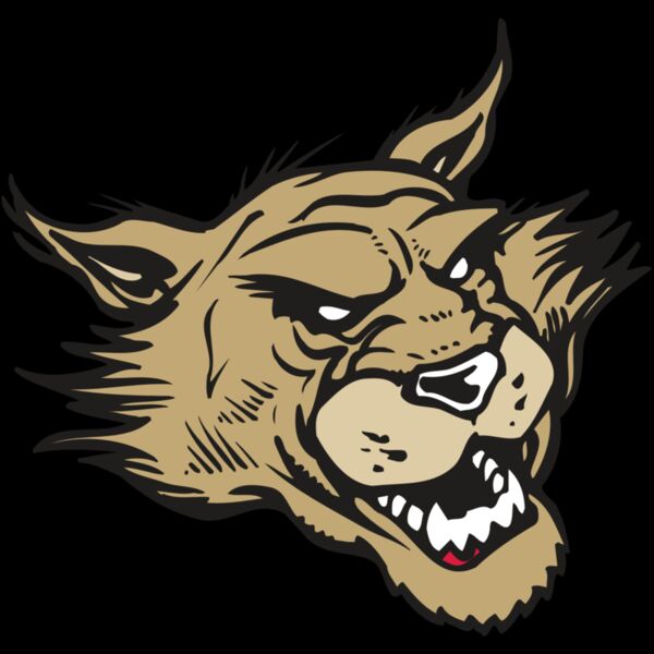 AR WILDCAT 39 RC Thumbnail