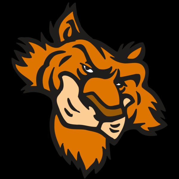 AR5 Tiger 16 RQC Thumbnail