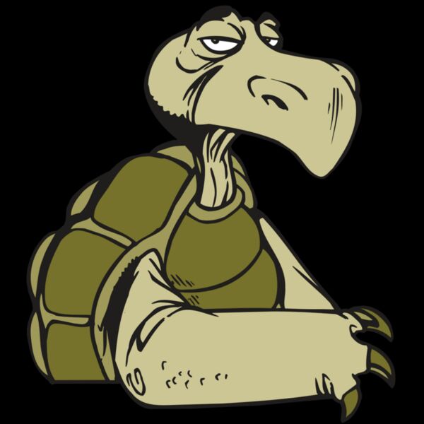 AR5 Turtle 01 RQC Thumbnail